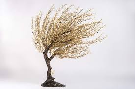 Windy Olive Tree Bronze Sculpture Tree Sculpture Olive Tree Tree