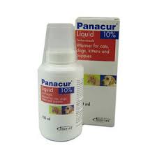 Panacur Oral Suspension For Pets Panacur 100ml Liquid For