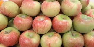 Maybe you would like to learn more about one of these? Kenapa Kulit Apel Malang Tidak Bisa Semerah Apel Impor Merdeka Com