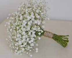 Bunga matahari banyak tumbuh dengan baik di tanah yang karena penampilannya yang bulat dan cerah seperti matahari, bunga ini dinamakan dengan nama bunga matahari. Kumpulan Nama Bunga Lengkap Dari A Z Beserta Gambar Dan Penjelasannya Bibit Online