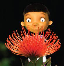 5, 6, 7, 8, 9 points). Facts For Students New South Wales Ftfs