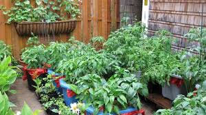 Choose pots that are large enough to grow your desired veggie… 9 Easy Ways For Container Vegetable Gardening Livinghours