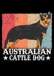 Metal dining table legs australian cattle puppies. Australian Cattle Dog Posters Art Prints Wall Art Displate