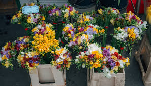 Możesz wybierać z tulipanów, róż, storczyków lub bukietów mieszanych. Jakie Kwiaty Wybrac Na Dzien Kobiet Portal Florystyczny