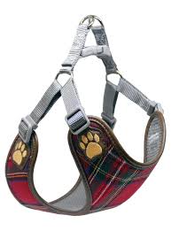 Pretty Paw Canada Designer Trends For Your Four Legged Friends