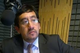 Los perros y conducir sin carnet