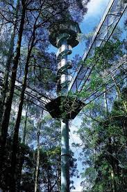 The Otway Fly Tree Top Adventures Great Ocean Road Australia Apollo Bay Weekend Escape