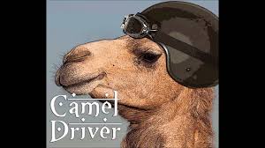 Metallica guitar tabs in pdf format. Camel Driver Wedding Chords Chordify