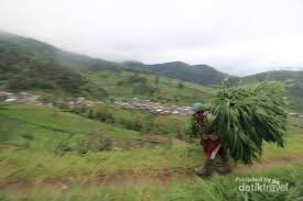 Pusat industri banyak ditemukan di wilayah …. Tersembunyi Di Lereng Gunung Lawu Desa Genilangit Keren Juga
