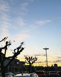 All the shades of blue in March 💙🎐🫧💿🪡 Águas De Março (Waters of March)  will forever be my March Anthem !! The cutest little bossa nova tune 🩵