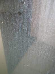Shower Water Stain Glass Google Search Clean Shower Doors Shower Cleaner Hard Water Stain Remover