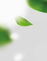 DE LA TEORÍA A LA PRÁCTICA