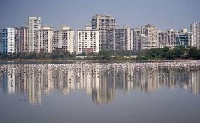 A foreign national resident in india does not require approval of the rbi to purchase immovable property in india. Housing Prices Covid 19 Indian House Prices To Fall For First Time In At Least A Decade Says Poll