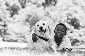 Zazie todd, author of the best selling book. Pets And Mental Health How Furry Friends Can Impact Your Child S Life