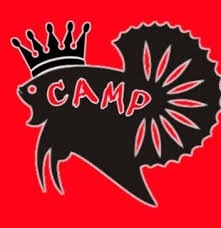 Jenis ikan cupang alam paling populer di dunia ikan cupang atau ikan betta ini saat ini ikan hias yang lagi trending yaitu ikan cupang hias jadi diperjalanan kali ini saya mencoba mencari. Cupang Alam Medan Perfect Home Facebook