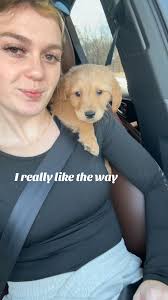 Rory Hansen (@roryhansennn)