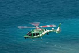 Bell 429 Fast And Comfortable Corporate Helicopter