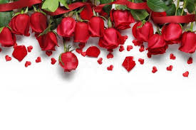 Lincoln's blossoms are held on stiff, upright stems. Red Roses White Background Best Stock Photos Toppng
