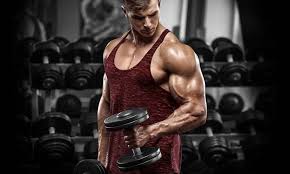 bicep workouts best bicep exercises