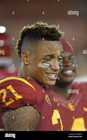 Safety for beavers hi-res stock photography and images