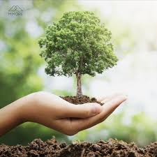 9 Reasons To Plant A Tree Blog Plant Trees Save The Earth Giving Back To Nature Trees To Plant Save Earth Plants