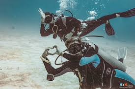 Your computer continuously tells you how much dive time you safely have remaining. The Best Dive Computer For Beginners In 2021 Ultimate Buying Guide
