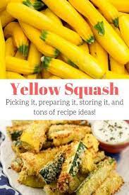 Yellow Squash Why You Should Start Eating This Veggie Now Slender Kitchen Yellow Squash Recipes Vegan Yellow Squash Recipes Cooking Yellow Squash