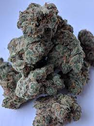 We did not find results for: Chocolate Oranges Revolutionary Cambridge Ma Bostontrees