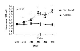 Dynamics Of Humoral Immune Response In Pregnant Mares And