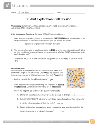 ● if necessary, click reset to start the building process. Student Exploration Cell Division Bio Miscbl3 Ga 3 Student Exploration Worksheet Cell Divisio Cell Division Student Genetic Information