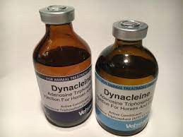 Energy is the currency of the living world and atp, like the coins that change hands in our economy, is the means through which energy is circulated in and among cells; Dynacleine 50 Ml Horse Camel Camel Camel Supplies
