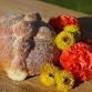 Pan De Muerto Baking Class with Bizcochos event image