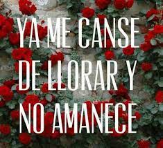 Paloma Negra Song Lyric Quotes Memorable Quotes How To Memorize Things