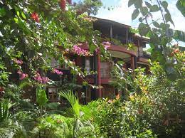 Coming soon listings are homes that will soon be on the market. Aktualisiert 2021 Dawilderness Holiday Homes E3 Appartement In Kampala Tripadvisor