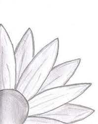 7831b81f51ba038ed4ca446574fa7e25 Jpg 236 300 Pixels Art Drawings Simple Daisy Drawing Nature Drawing