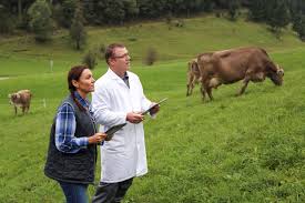 Image result for Q Fever