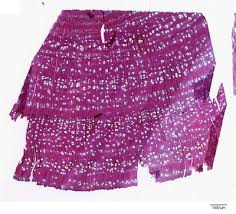 Image result for Acacia exuvialis