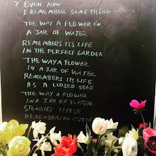 We did not find results for: Flower Poetry Bouquet Wild Heart Farm