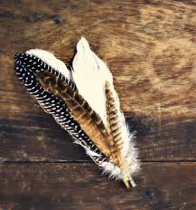 Black And White Spotted Bird Feather White Black And Brown Spotted Feathers Feather Identification Hope Is The Thing With Feathers Nature Inspiration