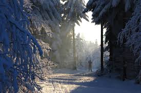 Der kamm vom erzgebirge ist die naturgrenze zwischen böhmen und deutschland. Wintersport Im Erzgebirge Das Eldorado Fur Winterfreuden