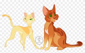 Did drawings of a fat cat loaf.not my cat, now my original tiktok video.the drawings are my own though. Loafbud Loafbudart Warrior Cats Warrior Cats Designs Firestar Free Transparent Png Clipart Images Download