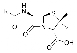 Professional Accutane Generic Accutane Canadian Dr