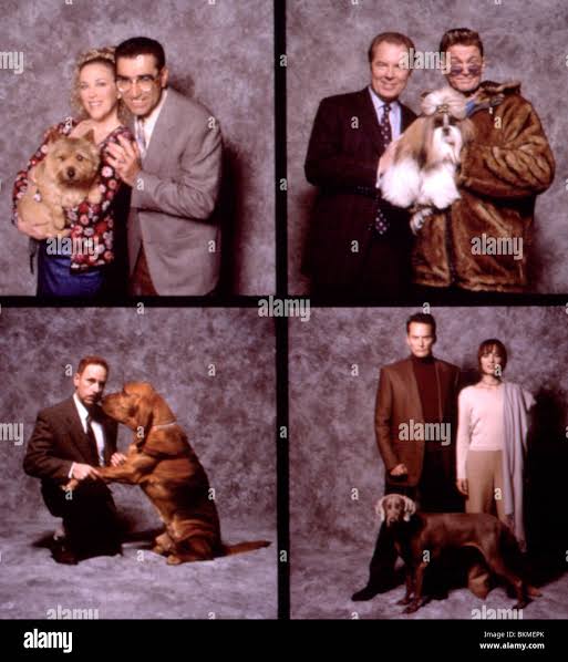 Best in show 2000 hi-res stock photography and images - Alamy