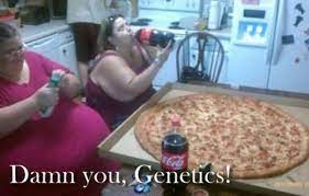 Damn You Genetics Funny
