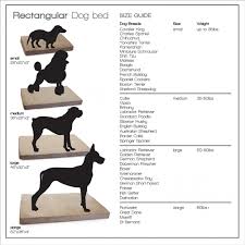 Chic Dog Bed Size Dog Bed Size Chart By Breed Bed Size Xx