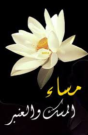 مساء المسك و العنبر Good Morning Images Flowers Good Evening Greetings Evening Greetings