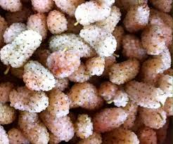 La marmellata di gelsi bianchi è facile da preparare, super golosa e davvero buonissima. Pin Su Marmellate