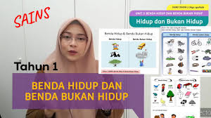 Siapa yang menentukan sistem ini. Benda Hidup Dan Benda Bukan Hidup Sains Tahun 1 Youtube