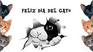Continua leyendo nuestro articulo para que conozcas todo sobre esta novela. Dia Del Gato Frases Del Dia Internacional Del Gato Youtube
