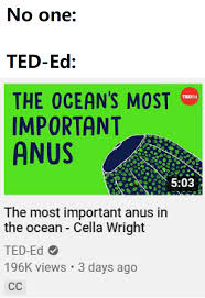 Search, discover and share your favorite ted ed gifs. Actually An Interesting Video Memes